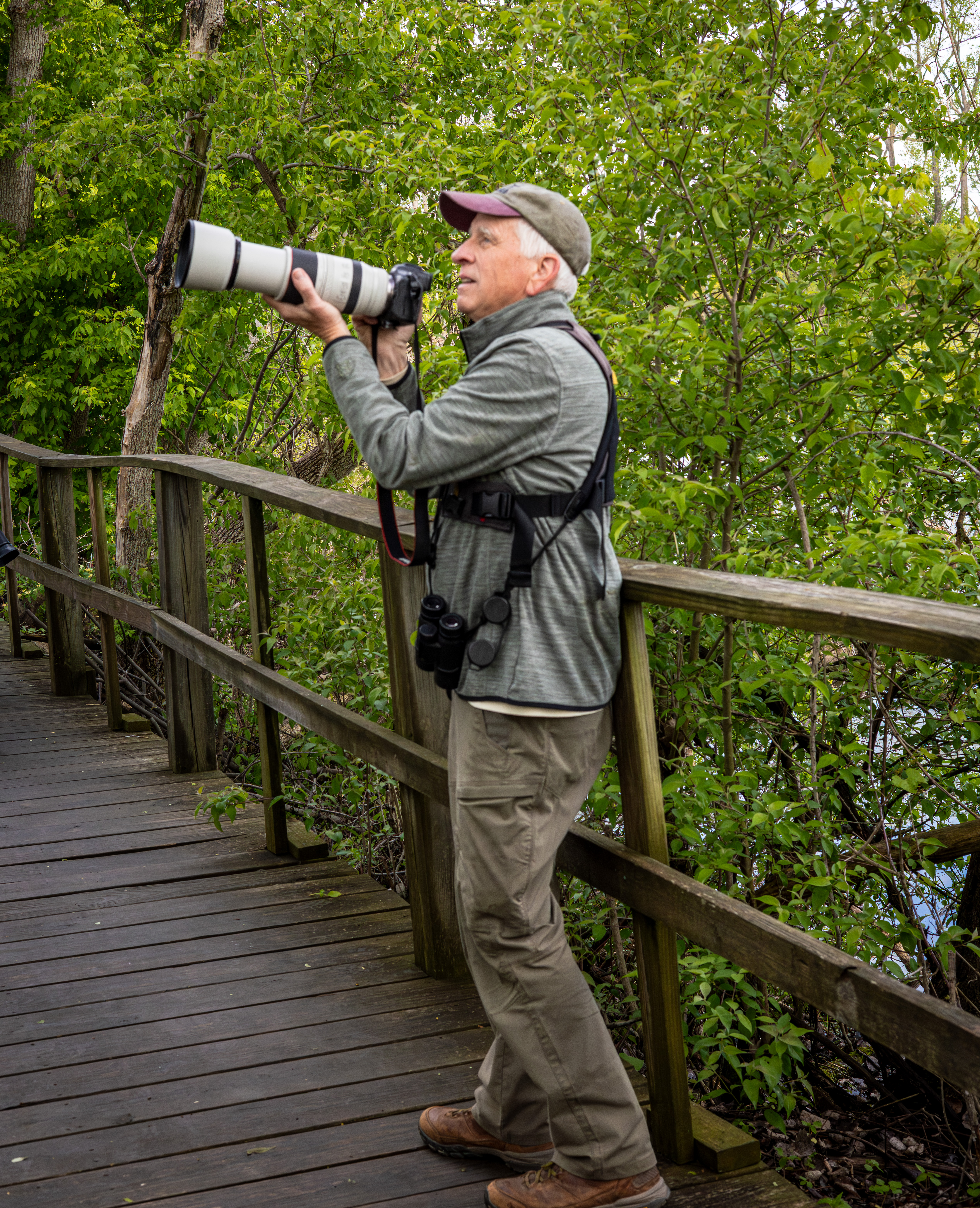 Michael Murphy - Bird Photographer