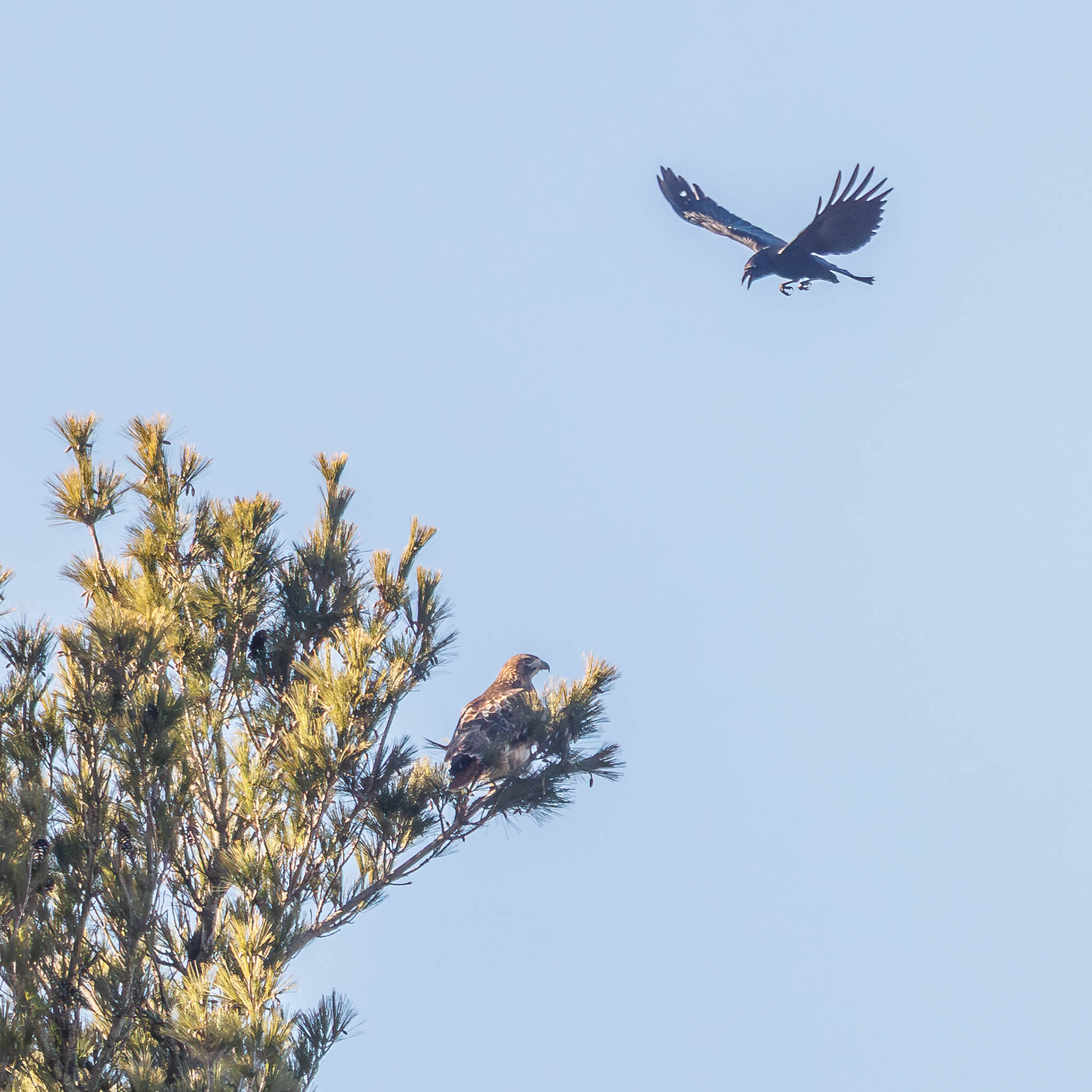 Winter standoff continues