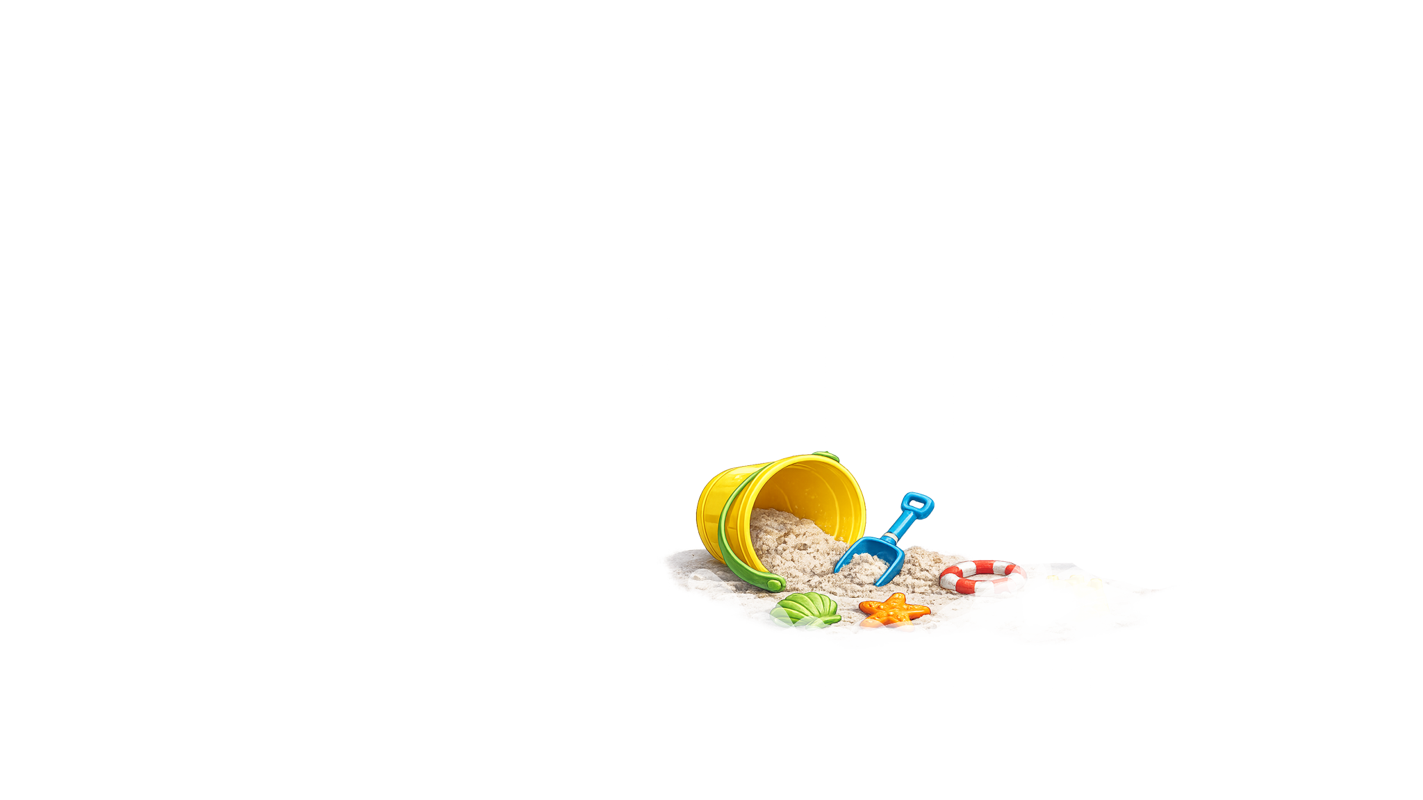 American Oystercatcher Overlay