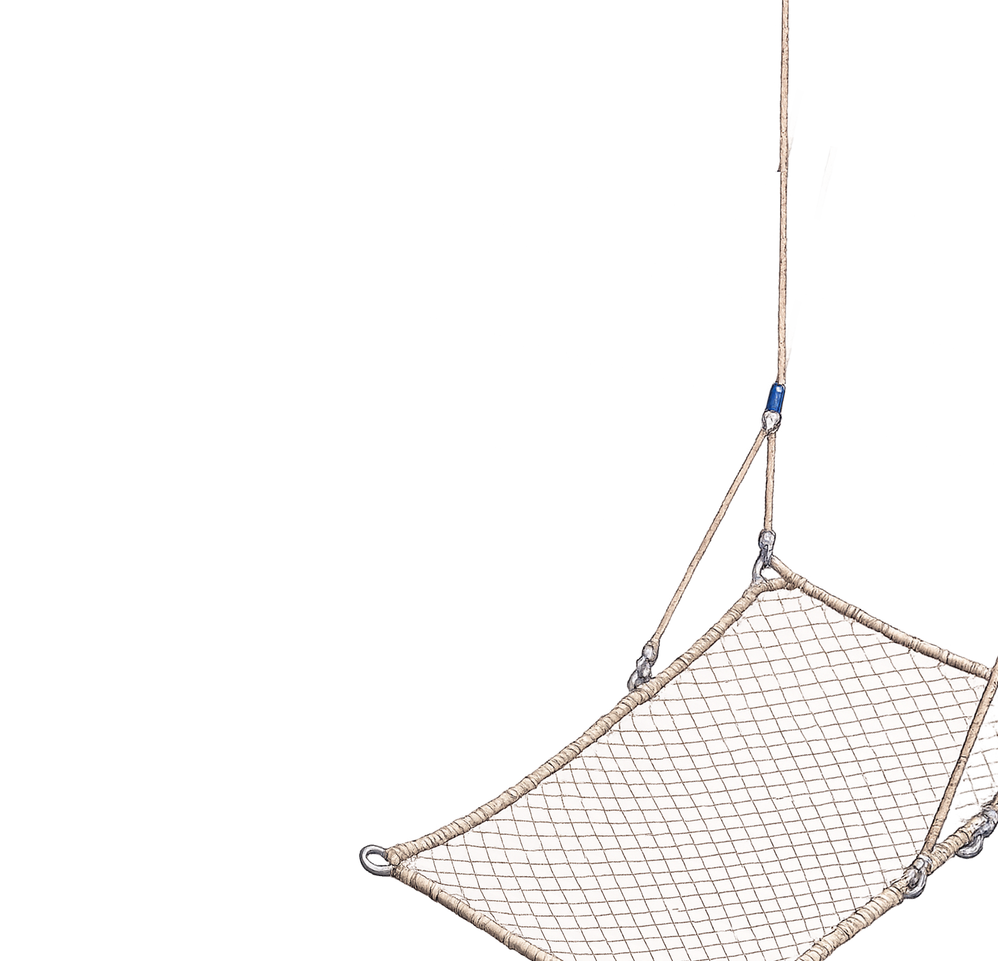 Black-capped Chickadee Overlay