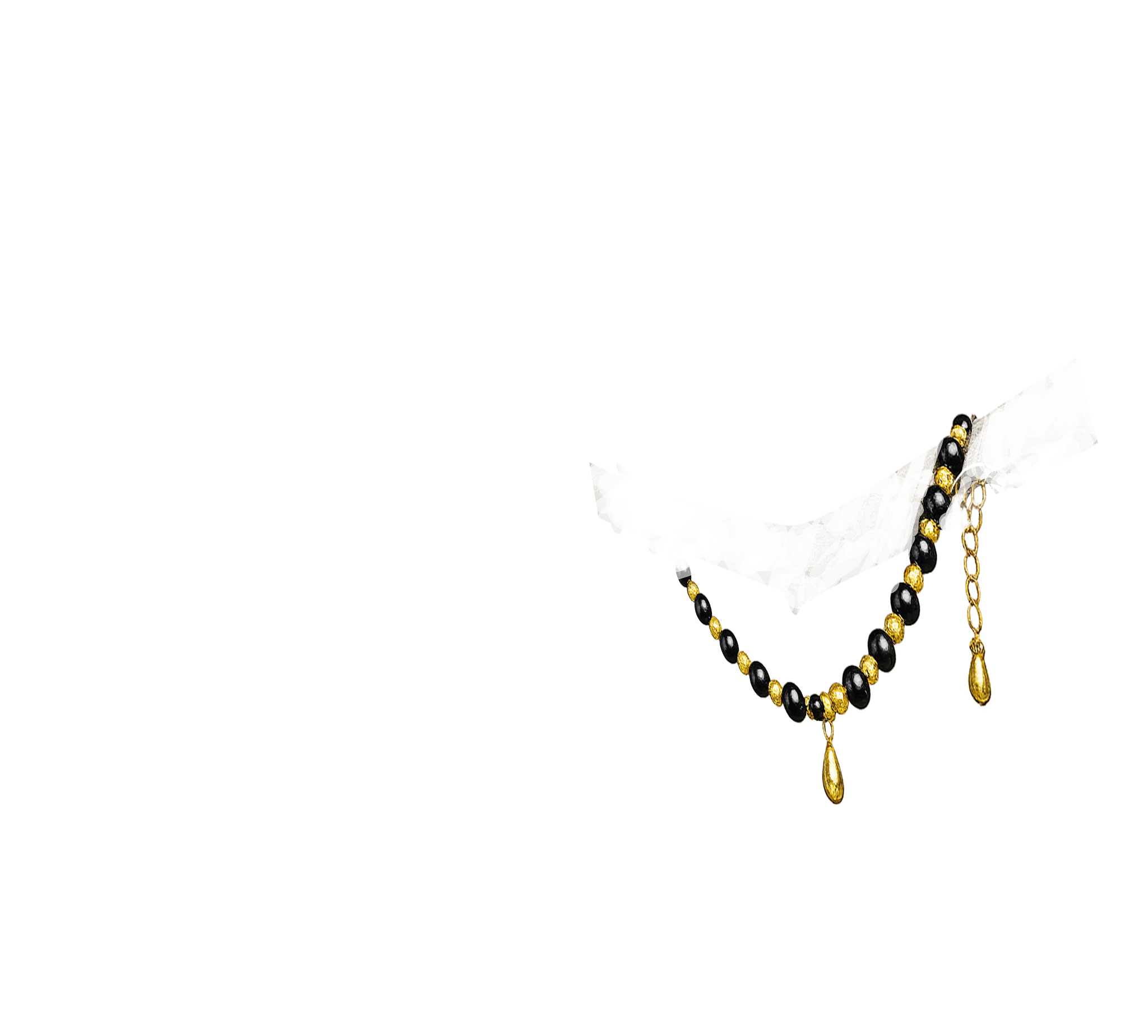 Canada Warbler Overlay