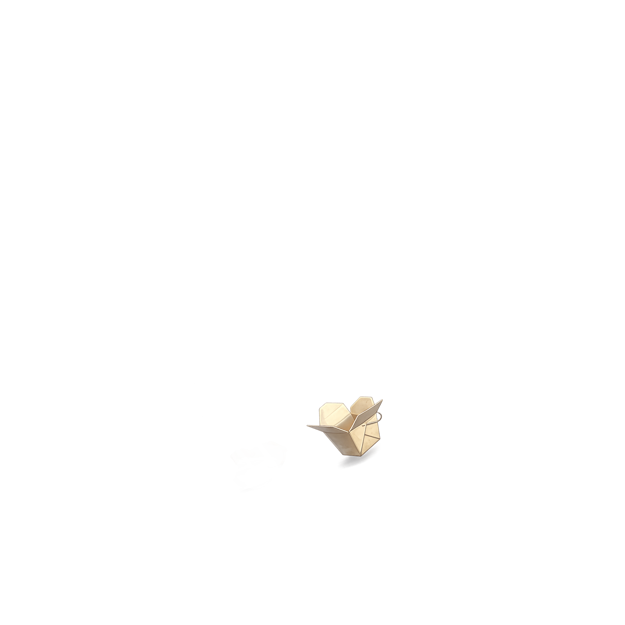 Juvenile Bald Eagle Overlay