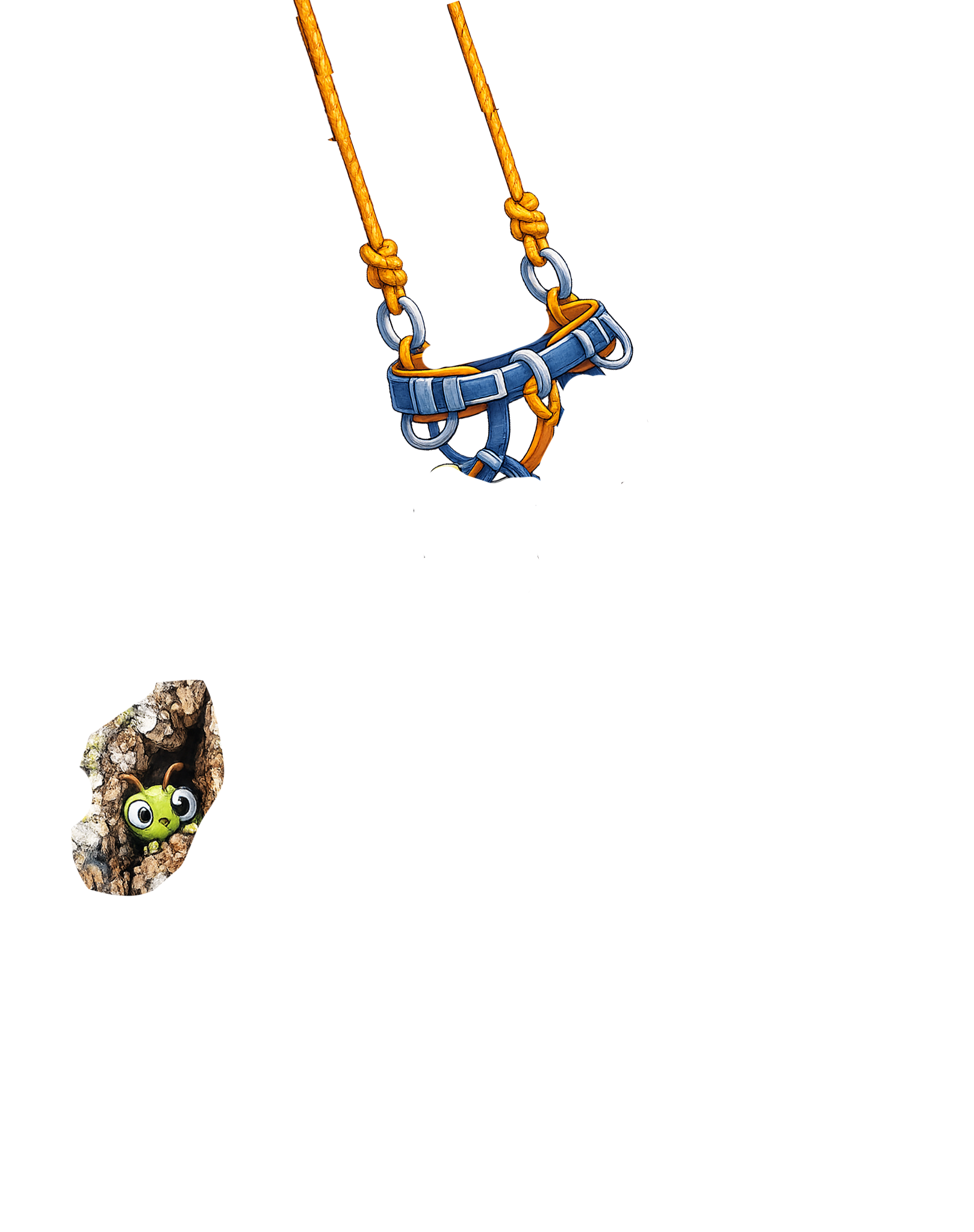 White-breasted Nuthatch Overlay