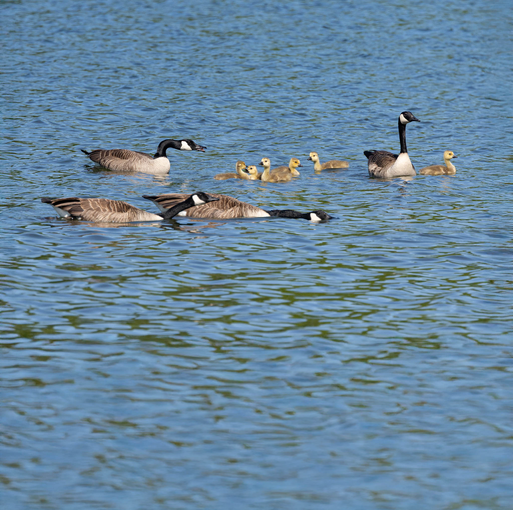 Beltzville State Park