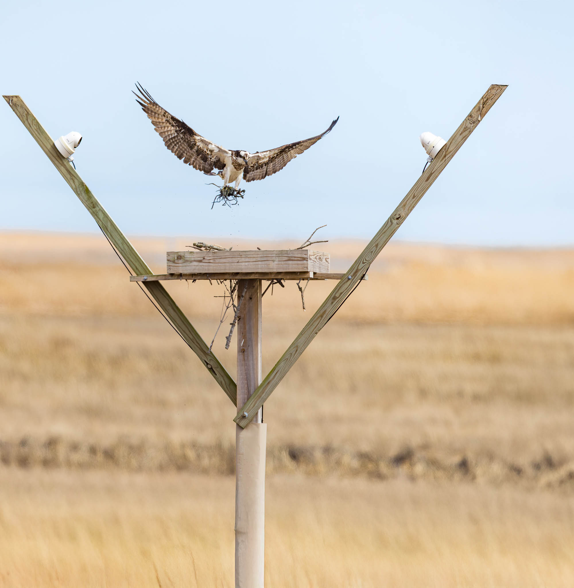 Forsythe Wildlife Refuge