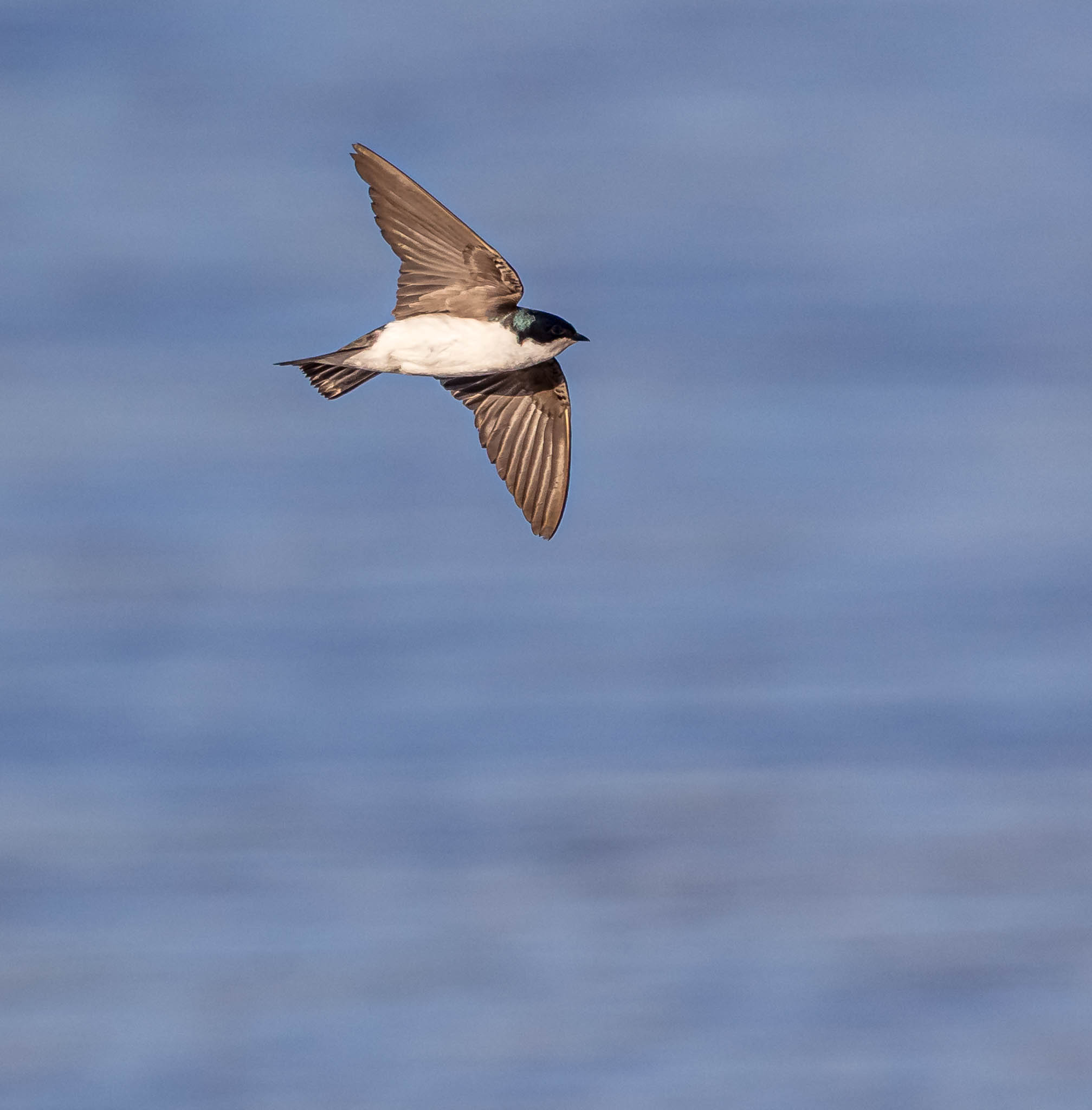 Memorial Lake State Park