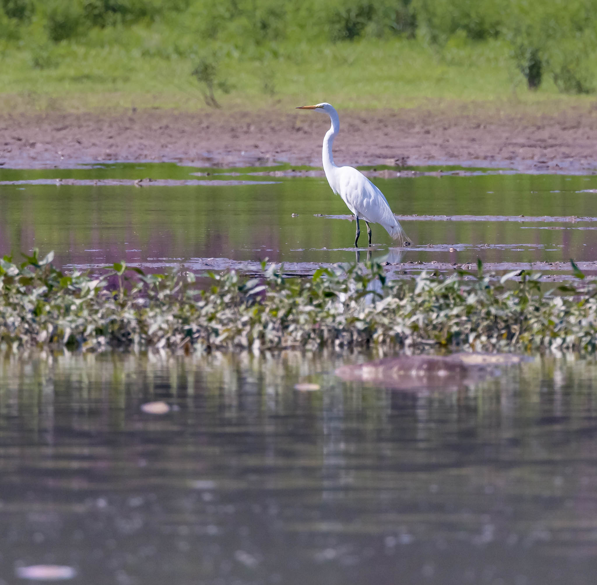 Plymouth Flats Luzerne County