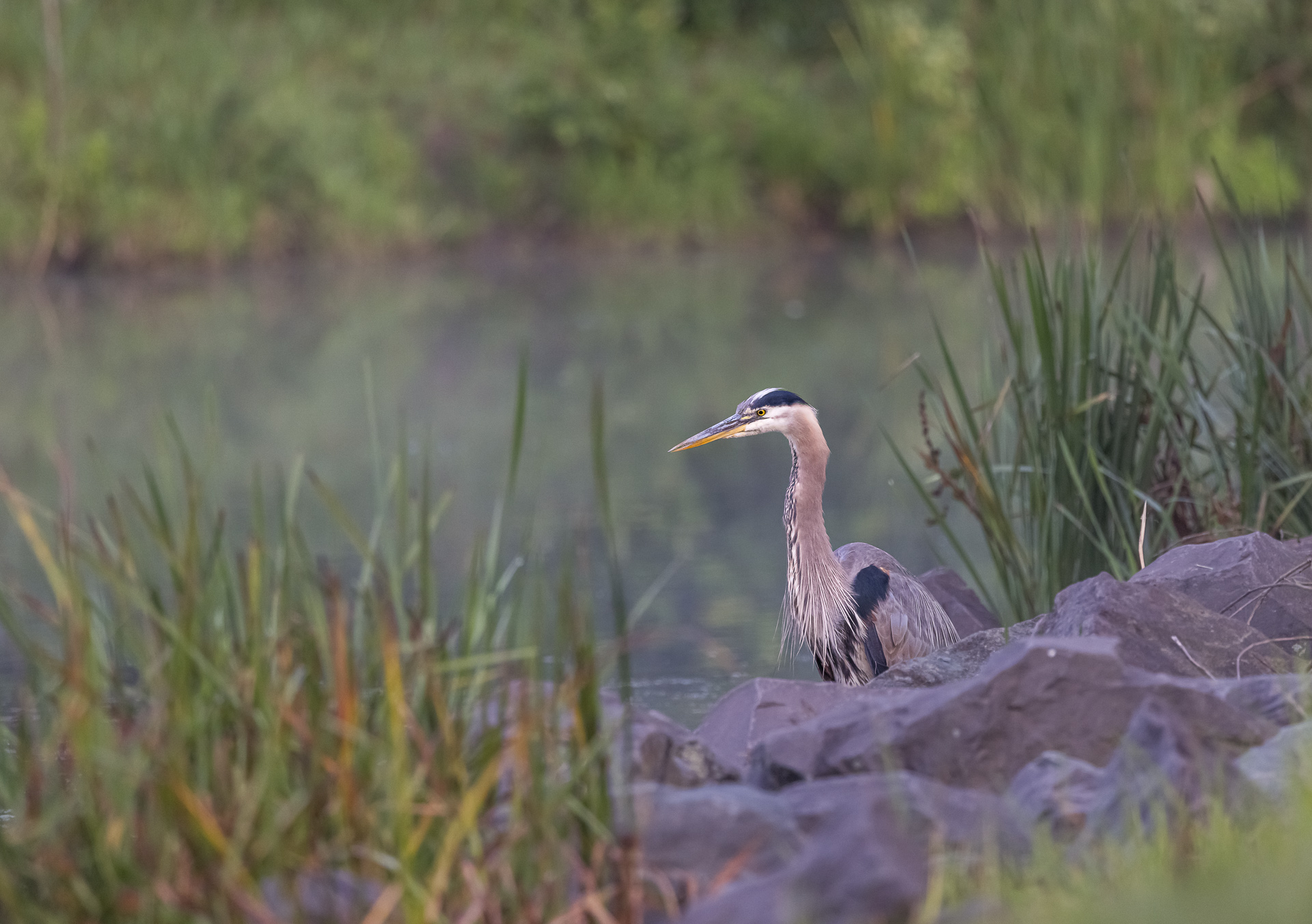 Susquehanna Riverlands