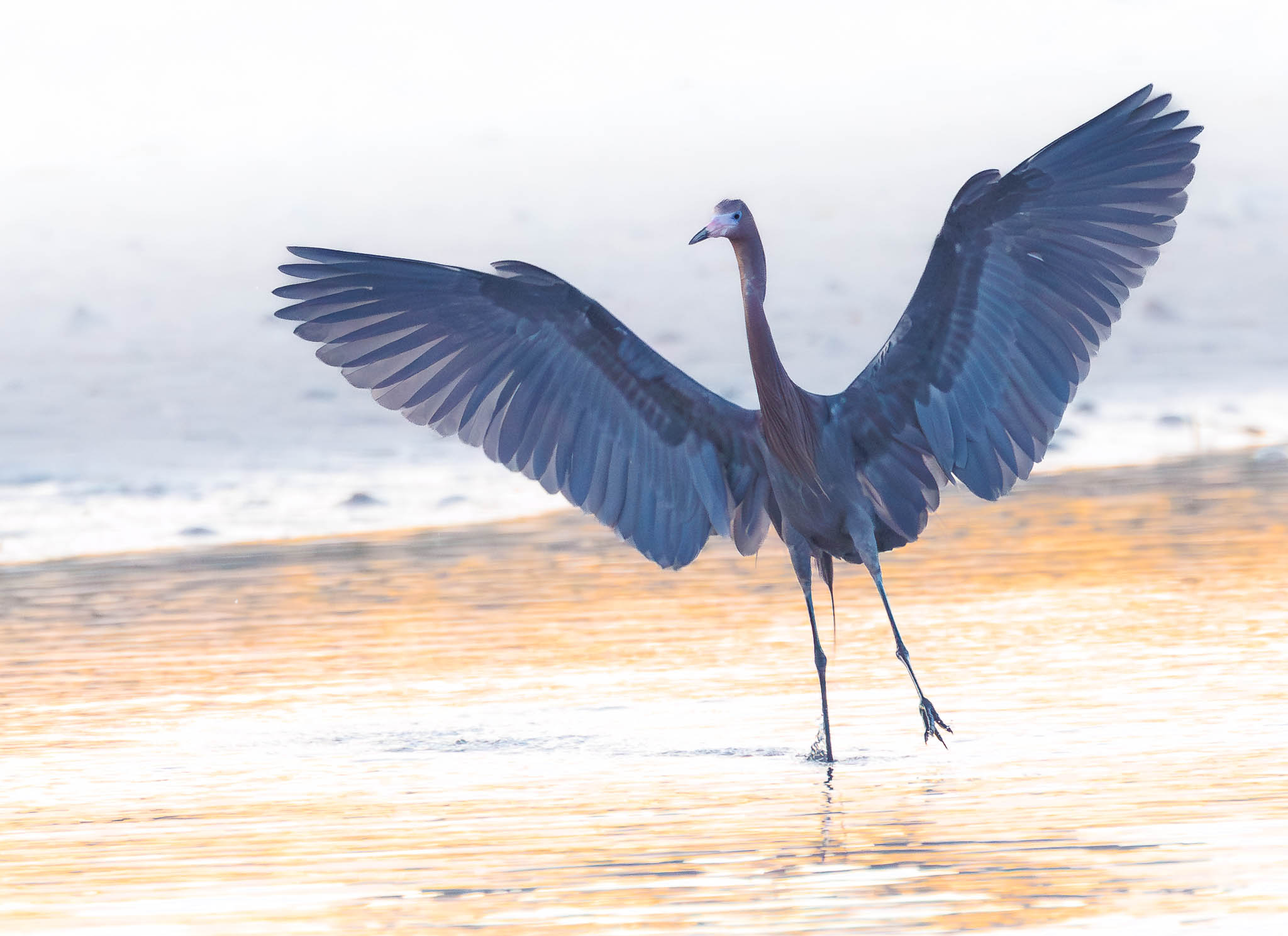 Fort De Soto Park, Florida