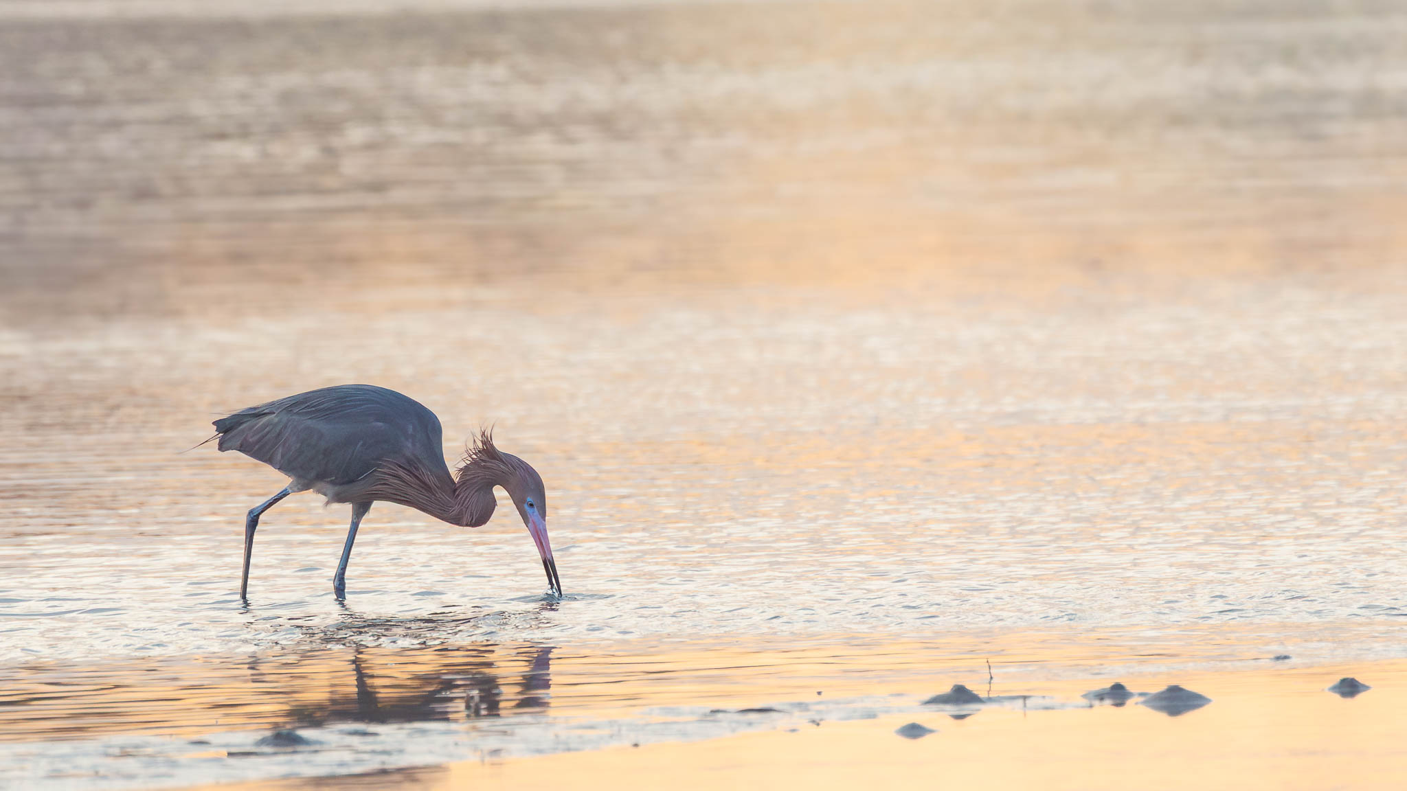 Fort De Soto Park, Florida