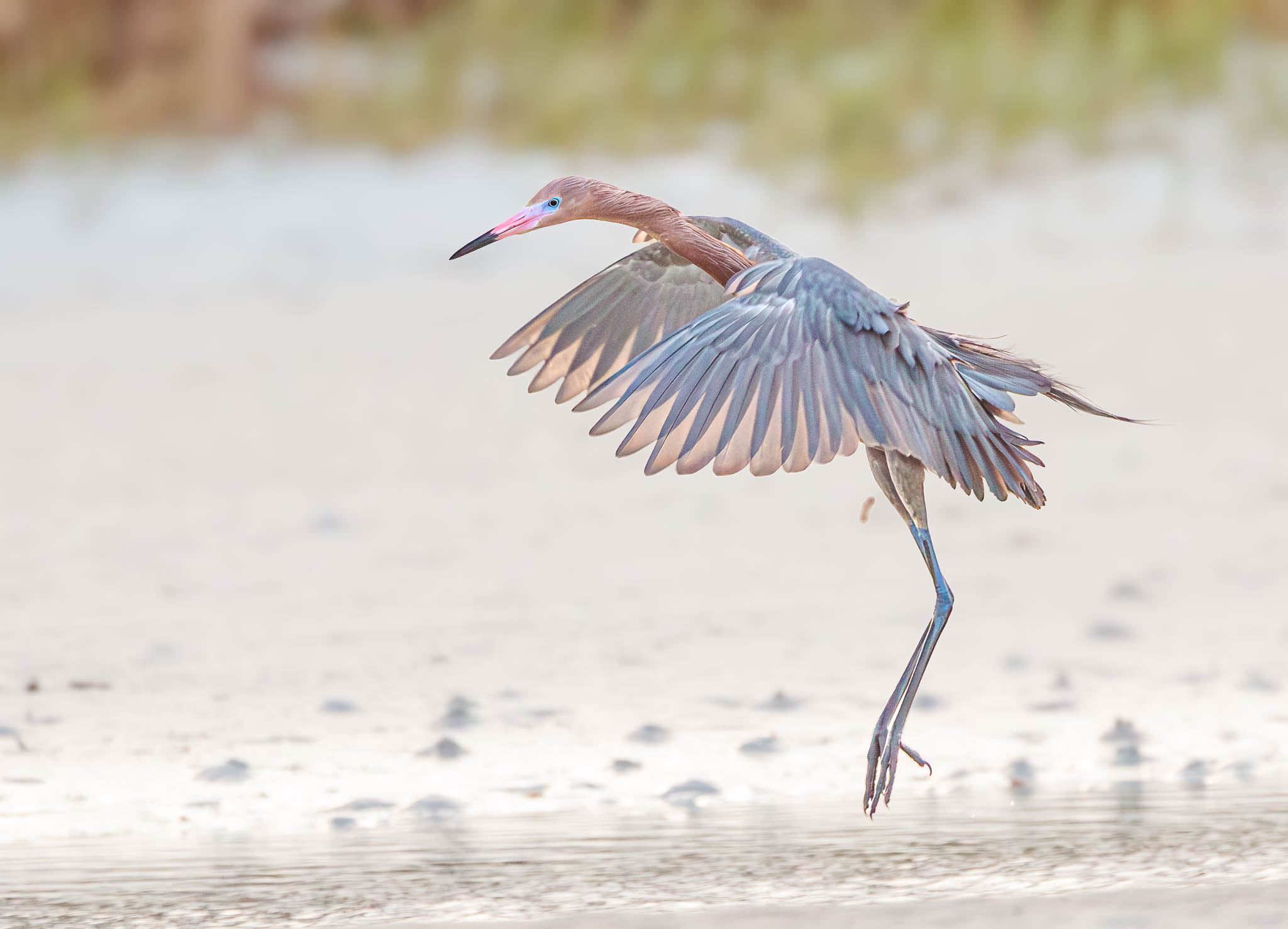 Fort De Soto Park, Florida
