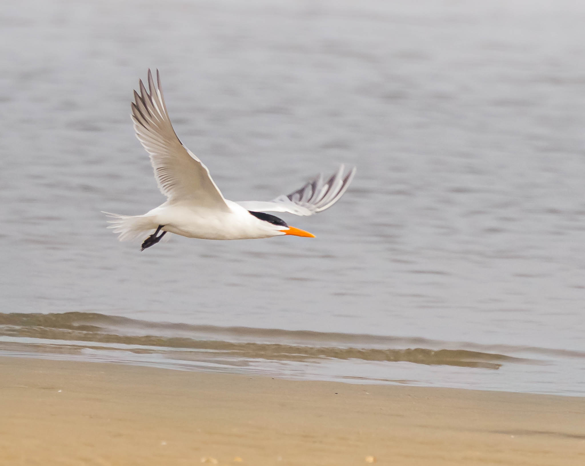 Cape Henlopen